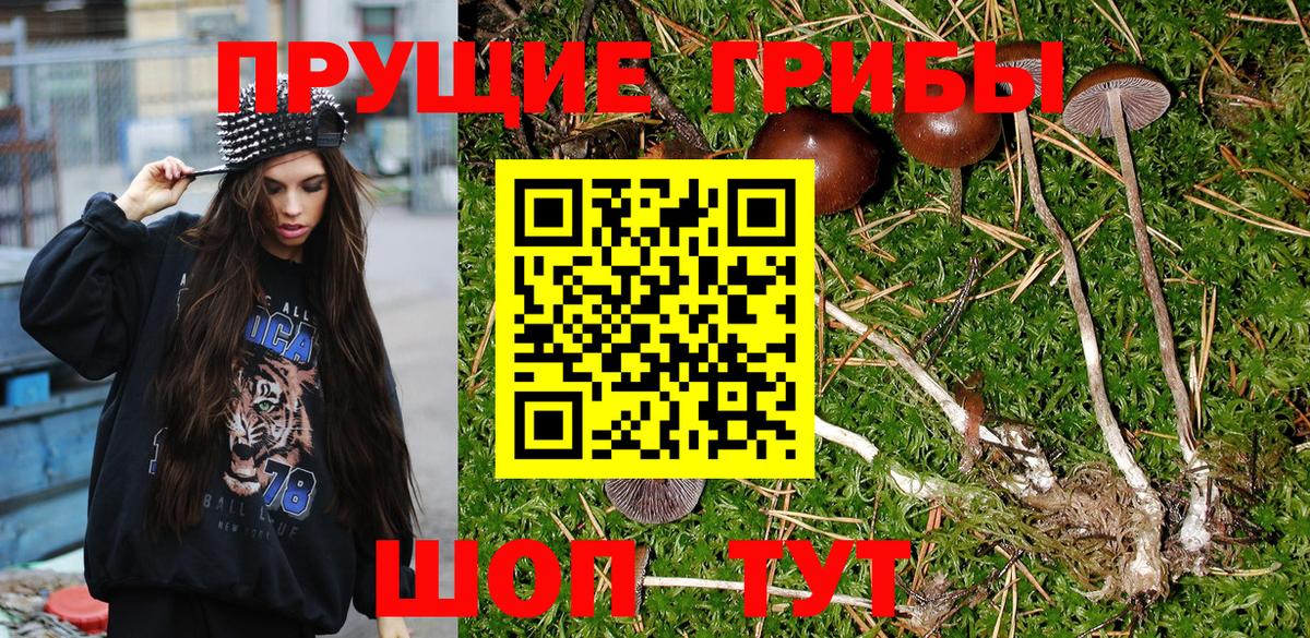 Мценск  Псилоцибиновые грибы Magic Shrooms  Вход с VPN 